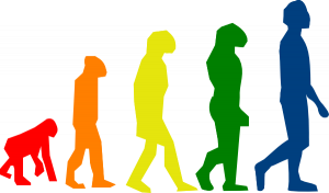 Evolution