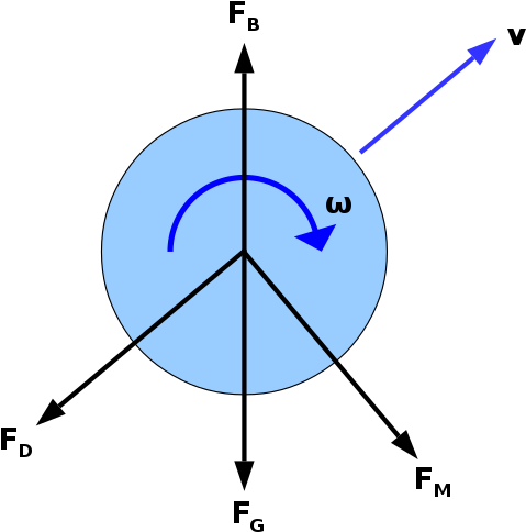 Rotational Motion